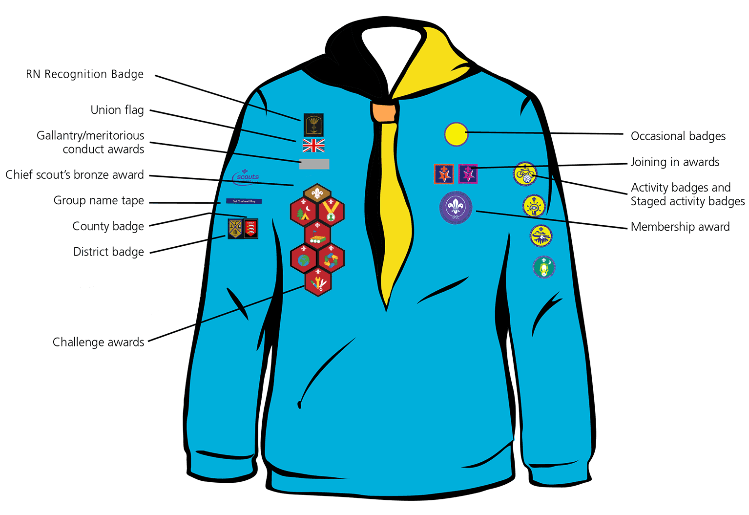 Beavers Uniform Badges 91
